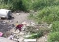residuos sólidos en Tamaulipas