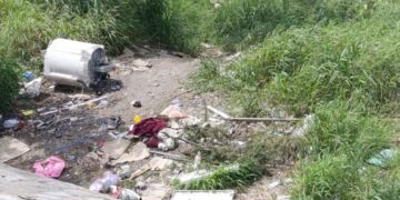 residuos sólidos en Tamaulipas