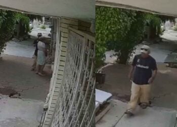 roba abuelita en Ciudad Victoria