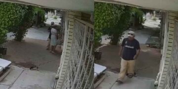 roba abuelita en Ciudad Victoria