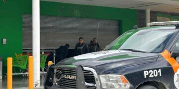 trabajador limpieza en Guadalupe