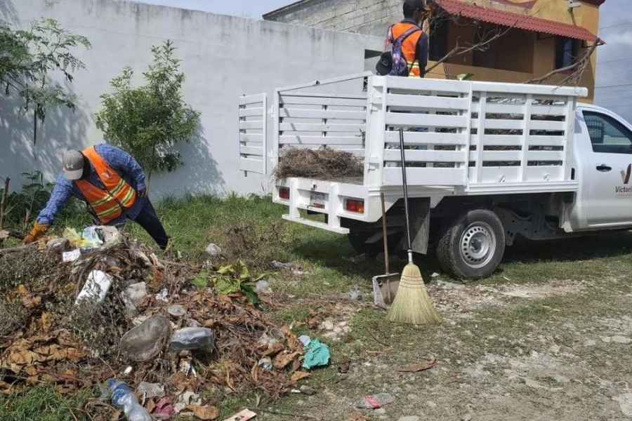  trabajos limpieza Ciudad Victoria