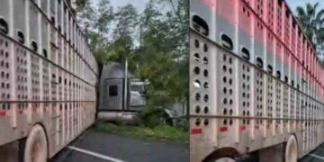 trailer obstaculizando Carretera Nacional