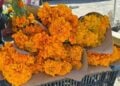 venta de flores en Matamoros
