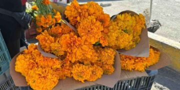 venta de flores en Matamoros