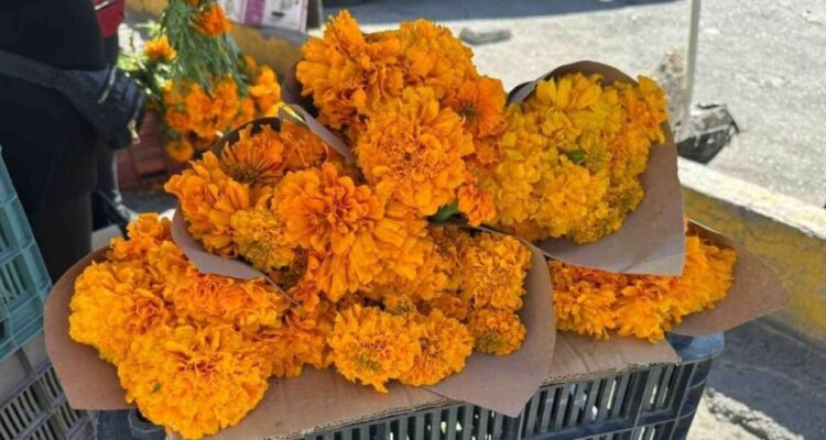 venta de flores en Matamoros
