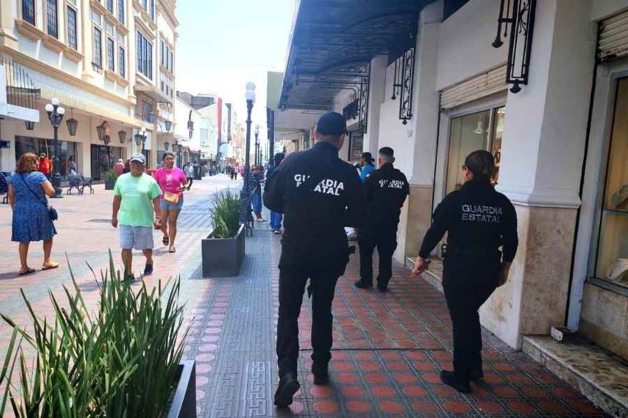 vigilancia Tampico actividad comercial