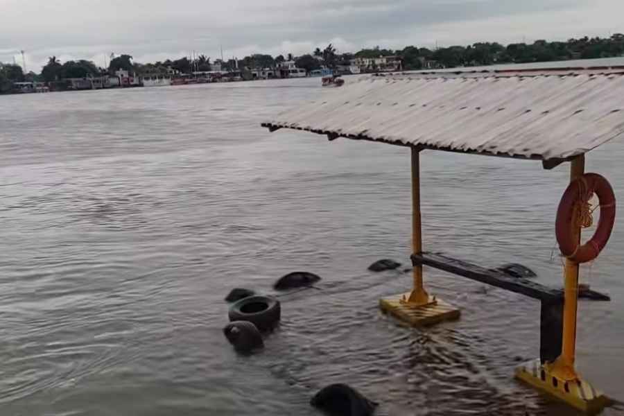  vigilancia  lagunas sur de Tamaulipas